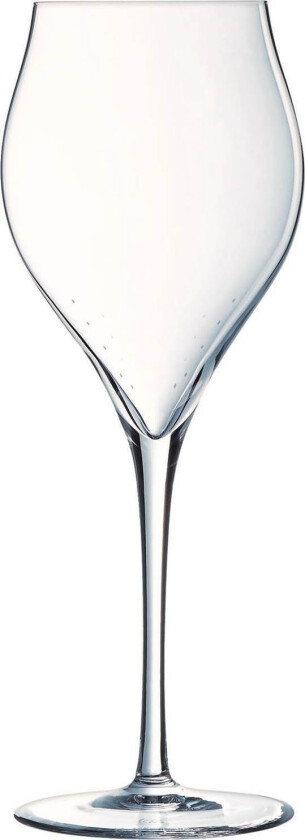 Exaltation Champagneglass