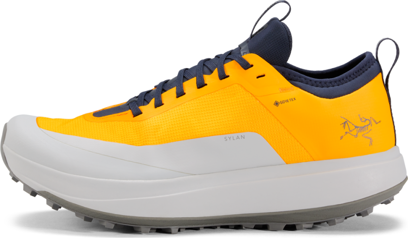 Men's Sylan GORE-TEX Edziza/Solitude 41 1/3, Edziza/Solitude