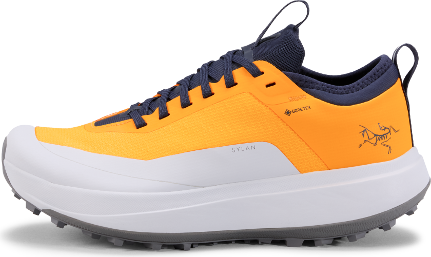 Women's Sylan GORE-TEX Edziza/Solitude 38 2/3, Edziza/Solitude