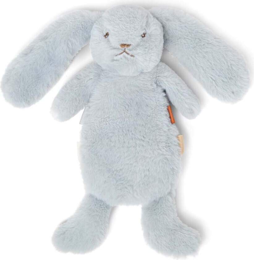 Heavy Teddy Mini (22419402130)