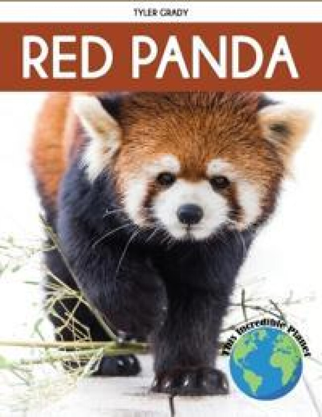 Red Panda