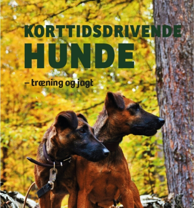 Korttidsdrivende hunde | Mathias Vogdrup-Schmidt