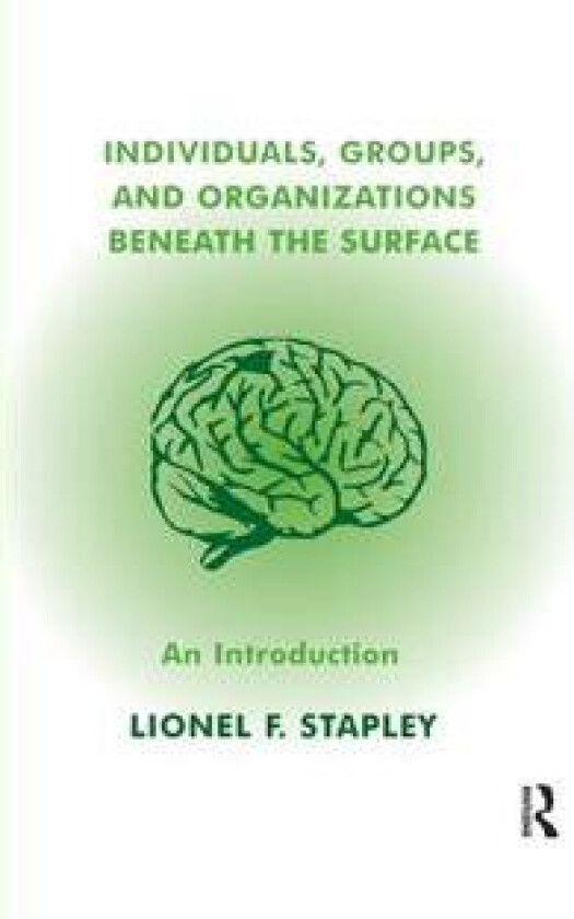 Individuals, Groups and Organizations Beneath the Surface