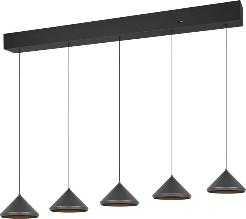 Pendellampe TRIO Laguna - 5 lamper, Matt svart