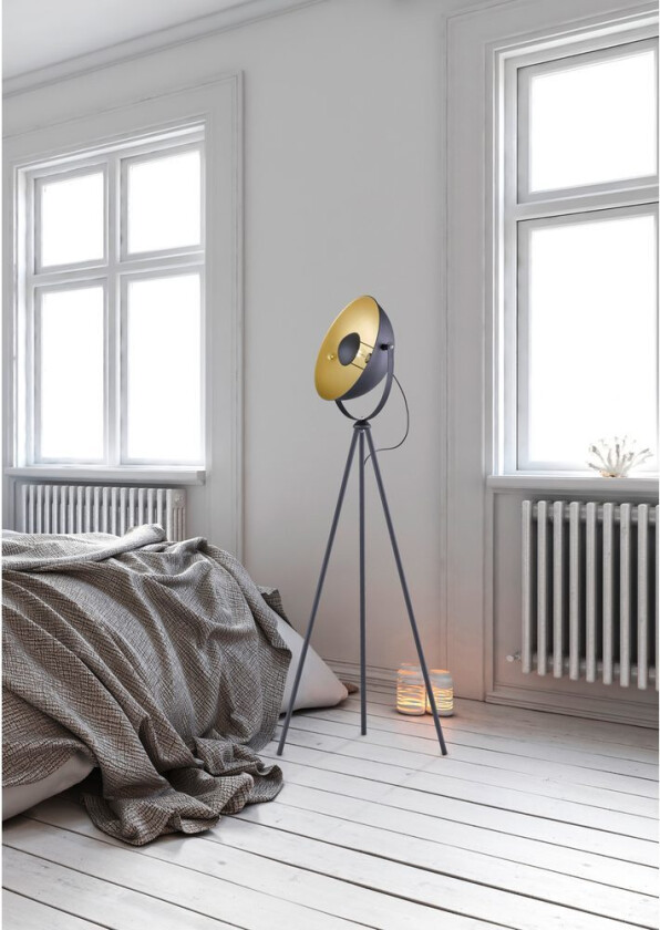 Gulvlampe TRIO Chewy