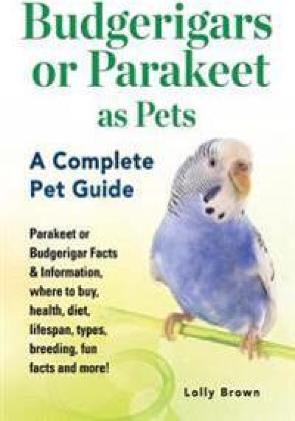 Budgerigars or Parakeet as Pets: Parakeet or Budgerigar Facts & Information, Where to Buy, Health, Diet, Lifespan, Types, Breeding, Fun Facts and More