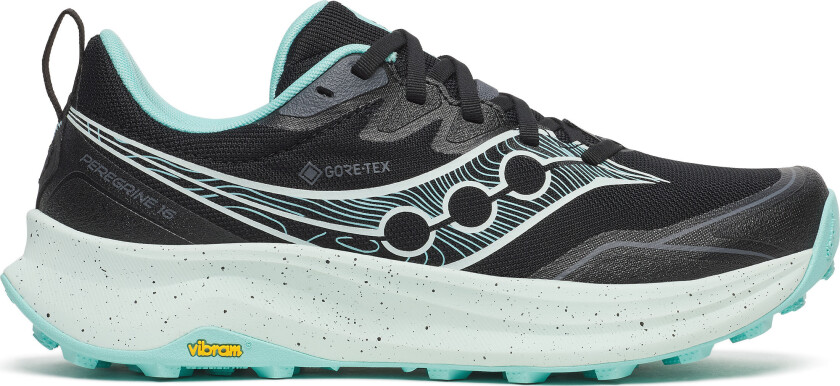 Women's Peregrine 16 GORE-TEX Black/aqua