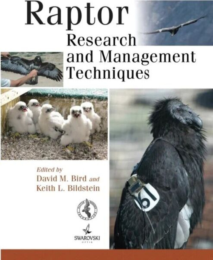 Raptor Research and Management Techniques av Keith L. Bildstein