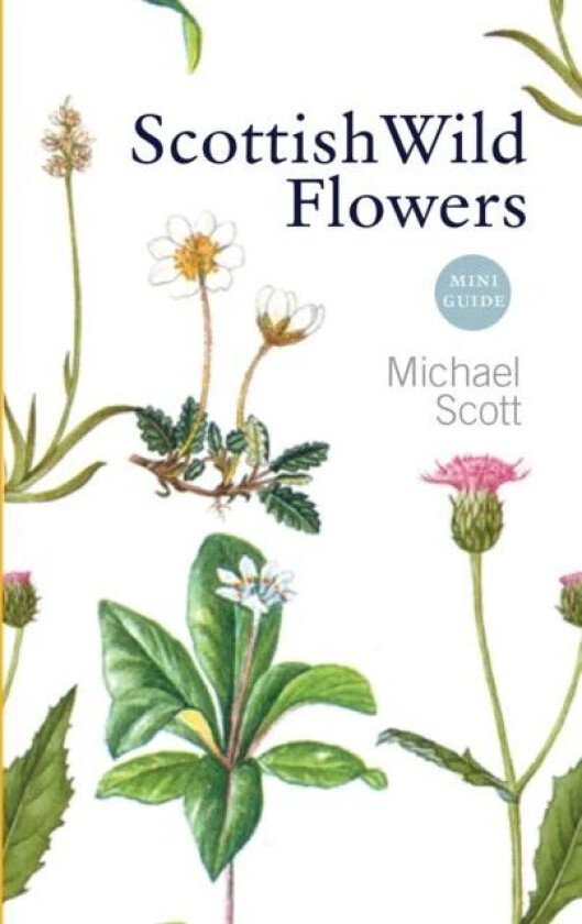 Scottish Wild Flowers av Michael Scott