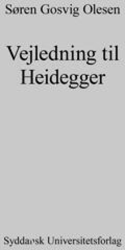 Vejledning til Heidegger