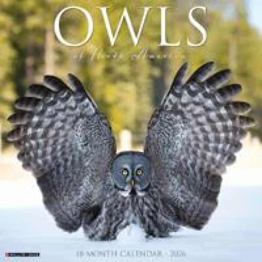 Owls 2026 Wall Calendar