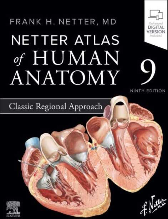 Netter Atlas of Human Anatomy: Classic Regional Approach