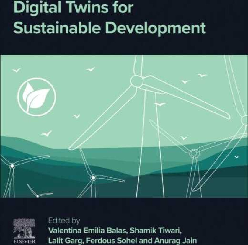 Digital Twins for Sustainable Development