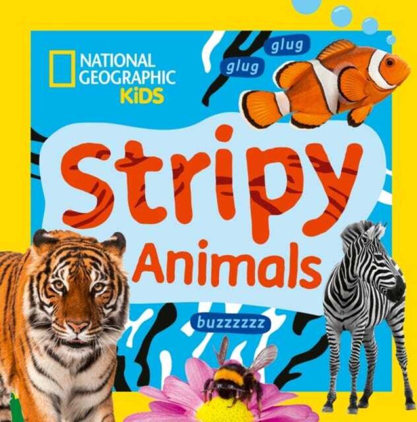 Stripy Animals A Fun First Board Book for Toddlers to Learn About Animals