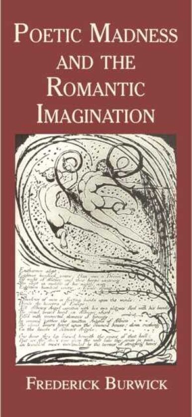 Poetic Madness and the Romantic Imagination