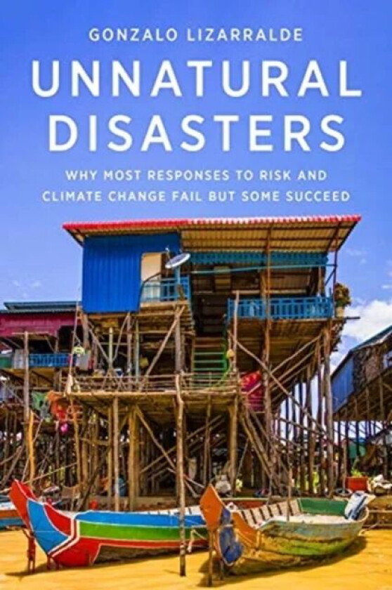 Unnatural Disasters av Gonzalo Lizarralde