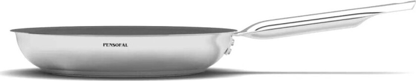 1605 EVO-Ceram New Era stekepanne - 30 cm
