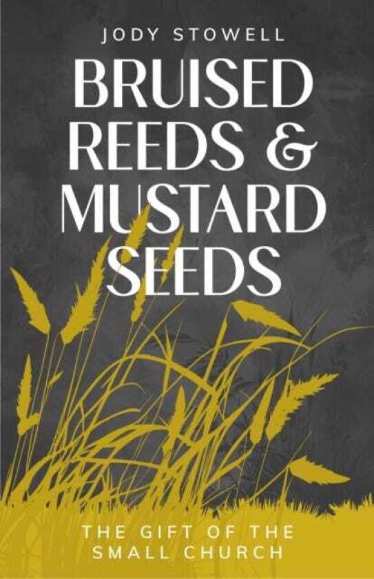 Bruised Reeds and Mustard Seeds The Gift of the Small Church