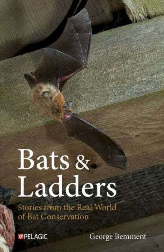 Bats & Ladders Stories from the Real World of Bat Conservation
