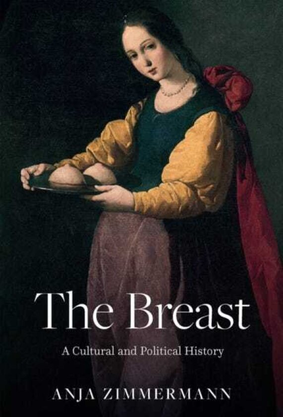 The Breast A Cultural and Political History