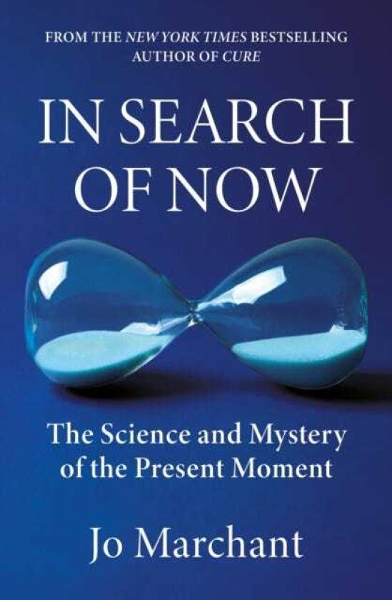 In Search of Now The Science and Mystery of the Present Moment