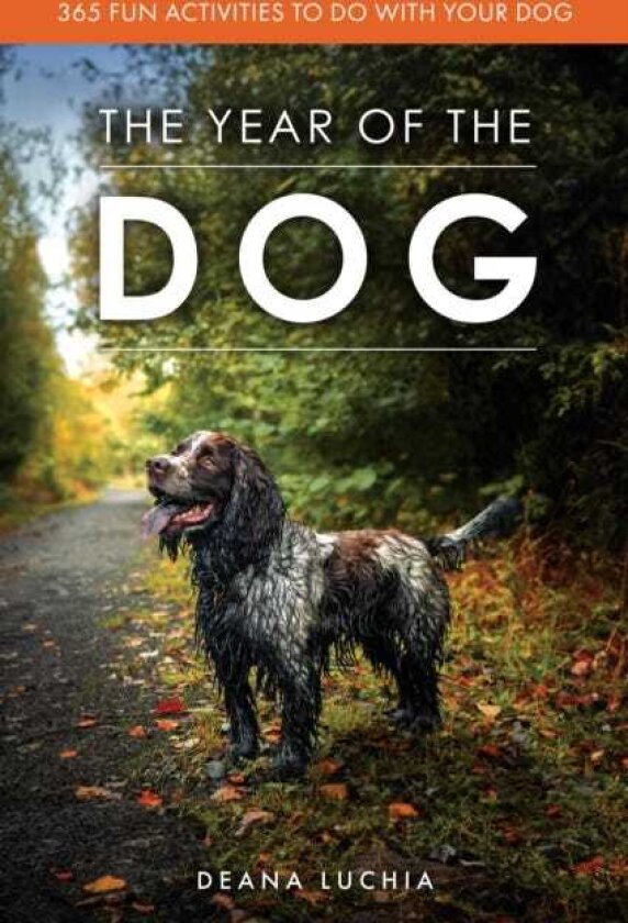 The Year of the Dog 365 Fun Activities to do with Your Dog