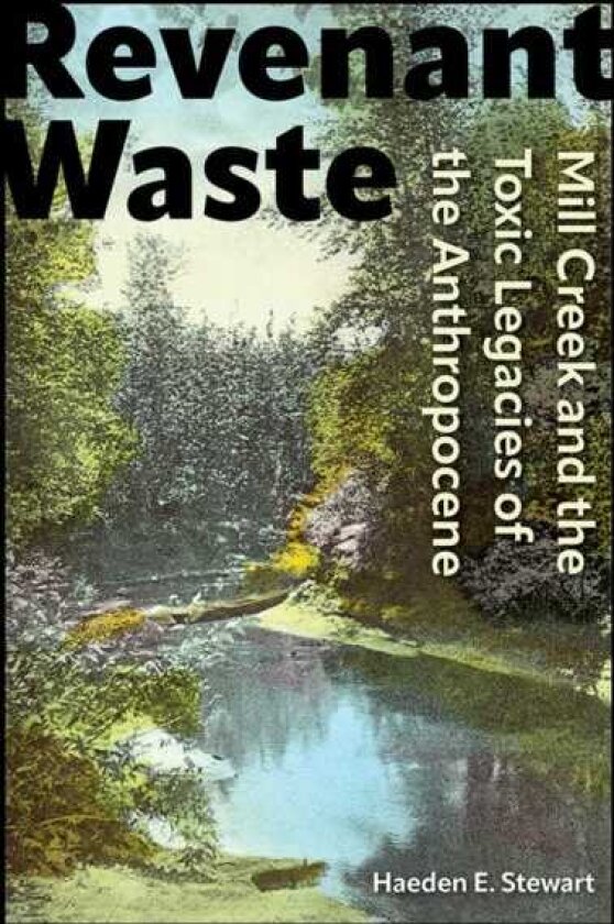 Revenant Waste Mill Creek and the Toxic Legacies of the Anthropocene