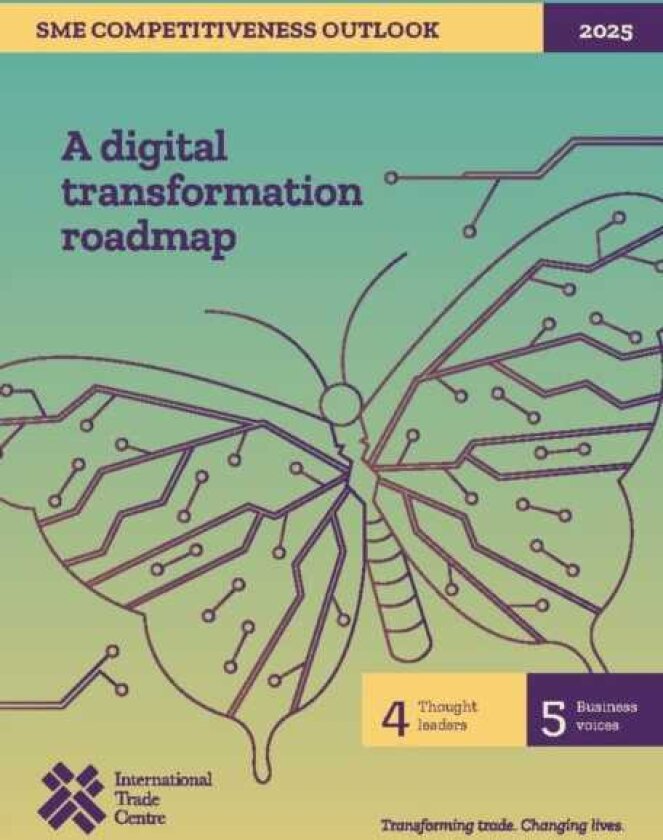 SME Competitiveness Outlook 2025 A Digital Transformation Roadmap