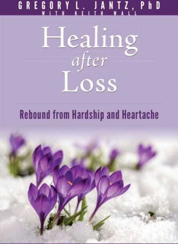 Healing After Loss Rebound from Hardship and Heartache