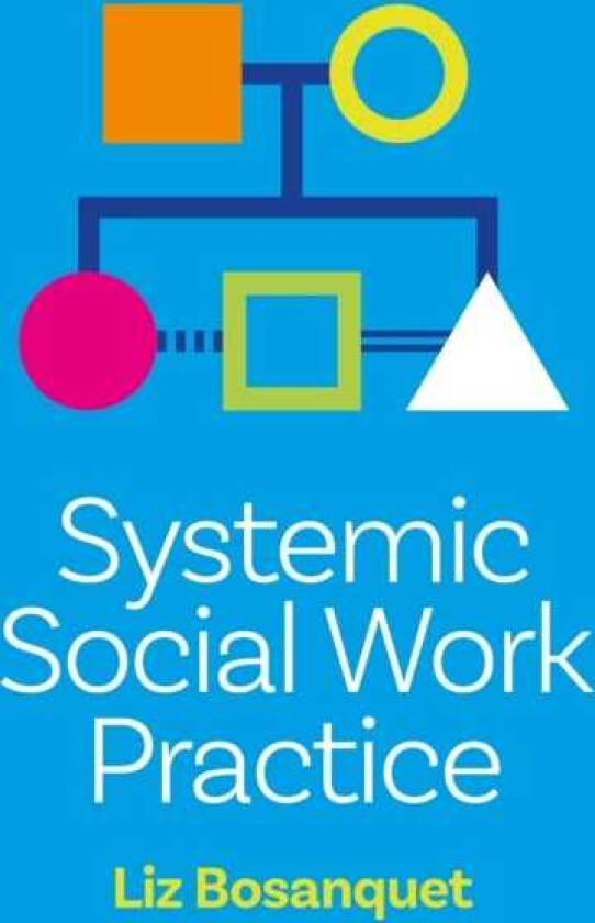 Systemic Social Work Practice