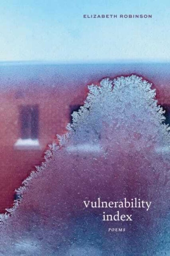 Vulnerability Index Poems