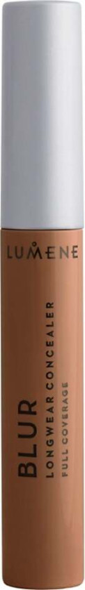 Blur Longwear Concealer