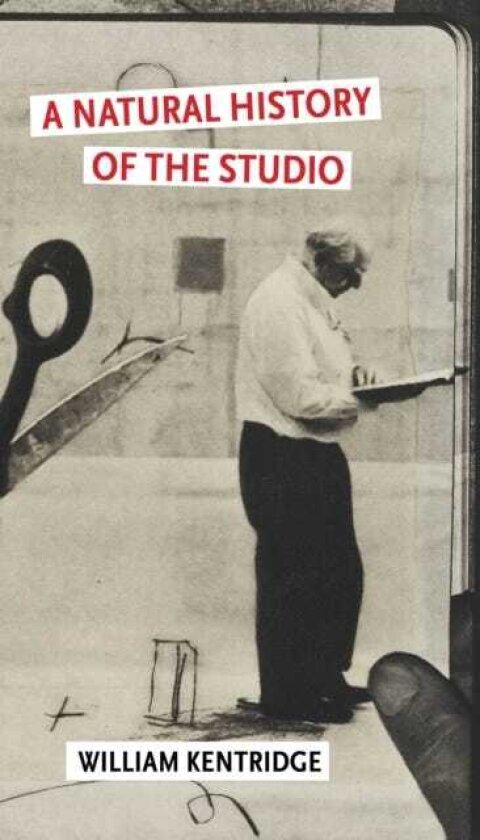 A Natural History of the Studio