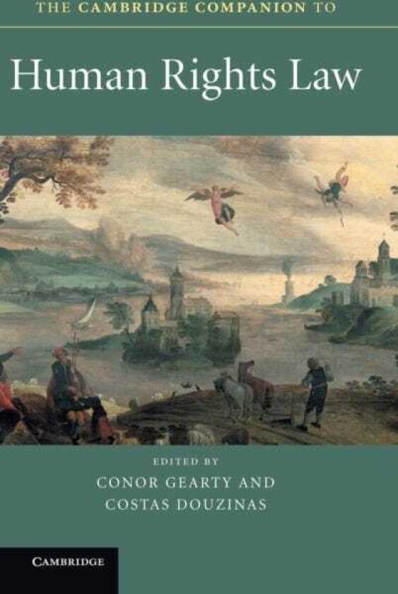 The Cambridge Companion to Human Rights Law