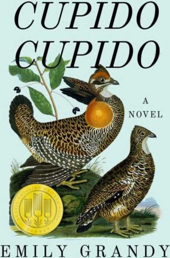 Cupido Cupido A Novel