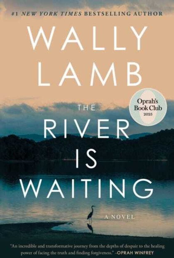 The River Is Waiting (Oprah's Book Club) A Novel