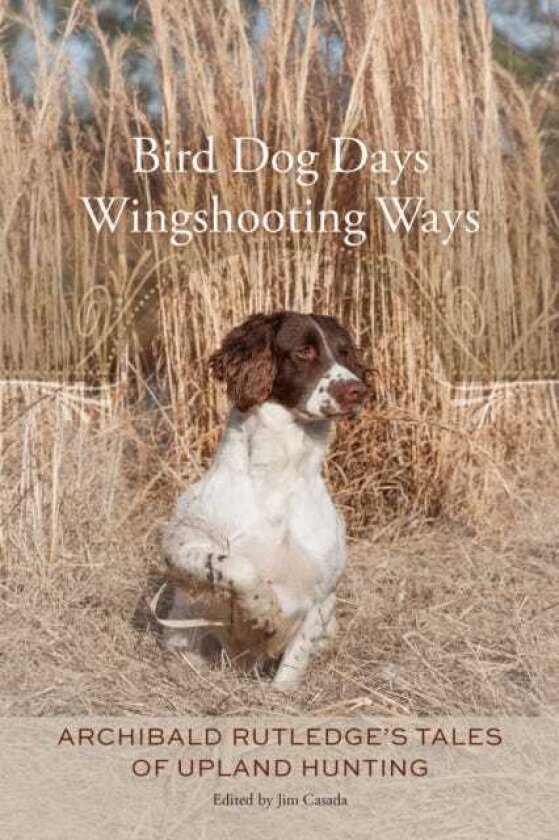 Bird Dog Days, Wingshooting Ways Archibald Rutledge's Tales of Upland Hunting