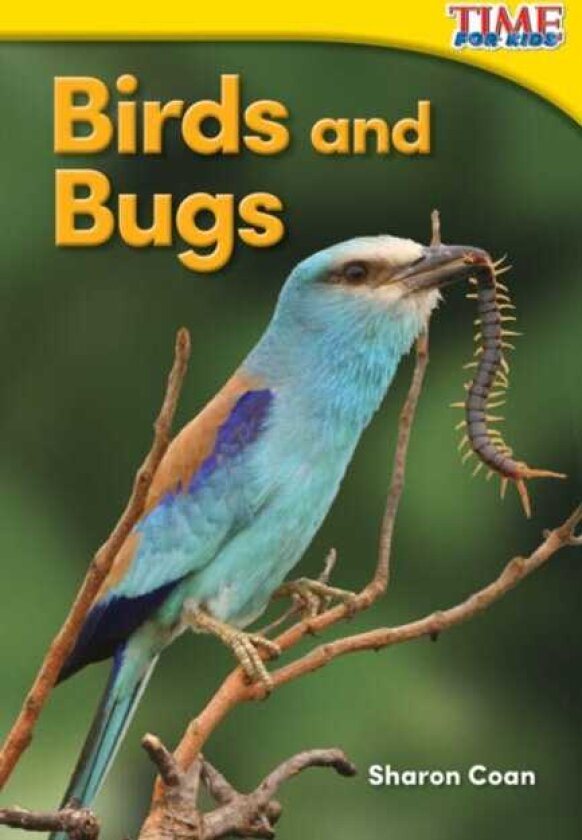 Birds and Bugs