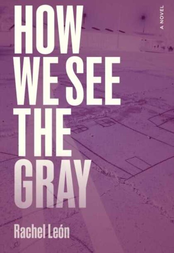 How We See the Gray A Novel