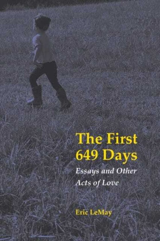 The First 649 Days Essays and Other Acts of Love