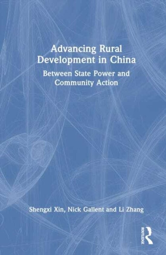Advancing Rural Development in China Between State Power and Community Action