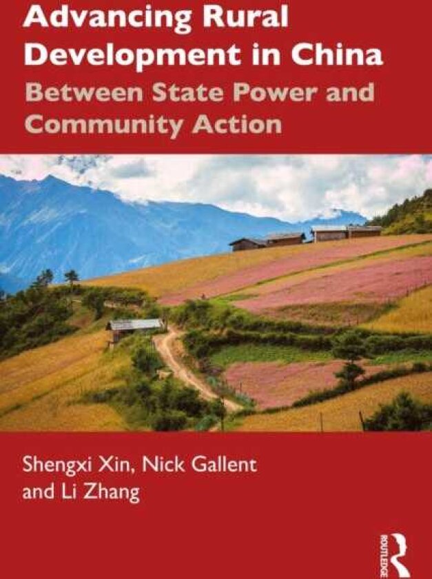 Advancing Rural Development in China Between State Power and Community Action