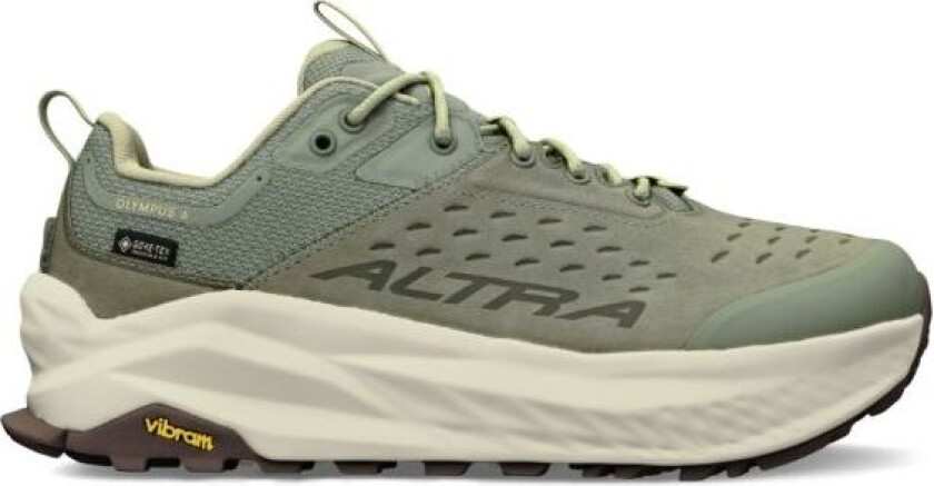 Olympus 6 Hike Low GTX