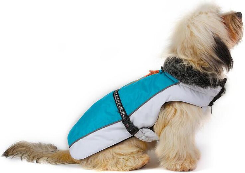 DGS Aspen Dog Jacket Hundedekken Vinterdekken - 65 cm - Svart X