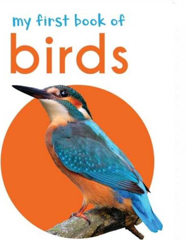 My First Book of Birds First Board Book