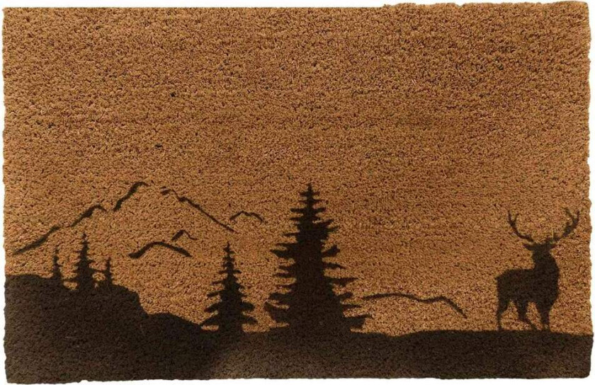 Kokos dørmatte 80x50 cm – Slitesterk, sklisikker, dekorativ