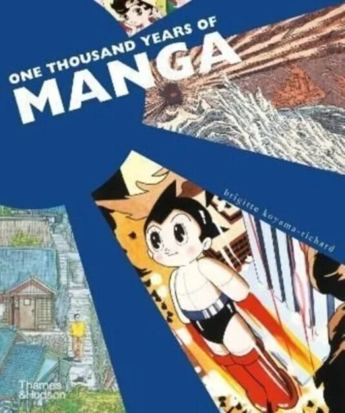 One thousand years of manga av Brigitte Koyama-Richard