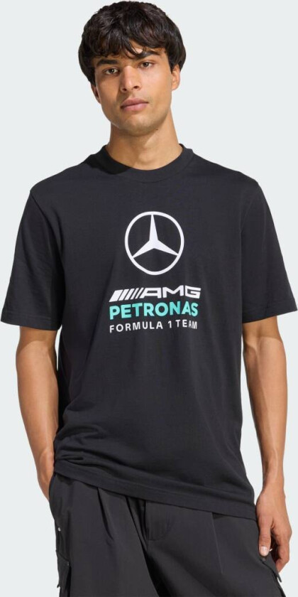 MERCEDES - AMG PETRONAS FORMULA 1 TEAM DNA GRAPHIC T-SKJORTE