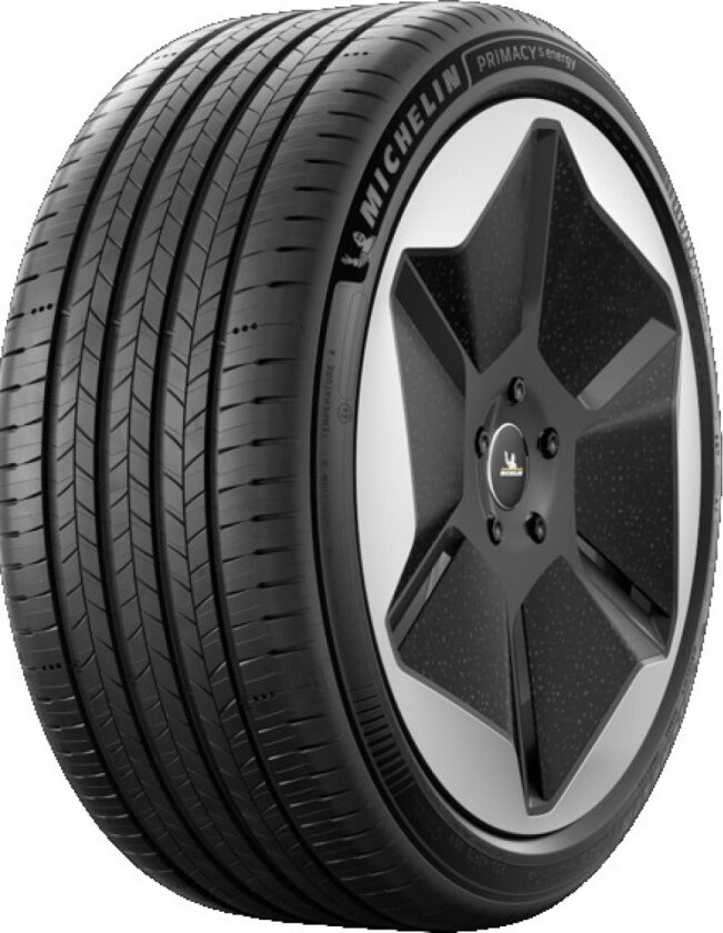 Primacy 5 Energy ( 205/55 R16 91V )