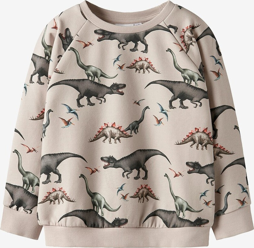 Collegegenser nmmBertil LS - Grå